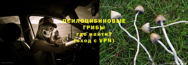 каннабис Алексеевка